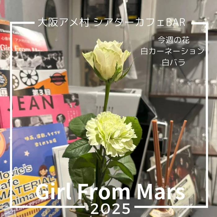 画像354