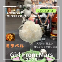 画像529